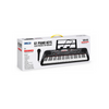 NET 61 key grand piano with case