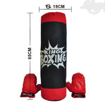 Punching Bag Big