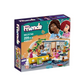 Friends assembly 209 pieces in a box