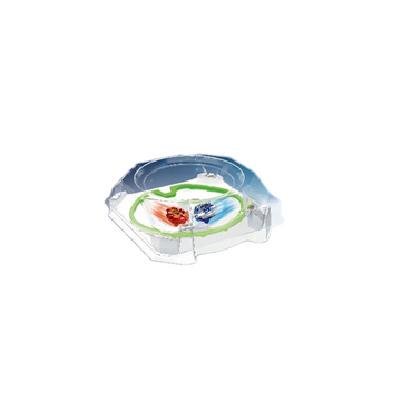 Bluebell ring *2 with a large lid in a box