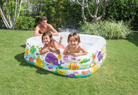 INTEX Clearview Aquarium Pool